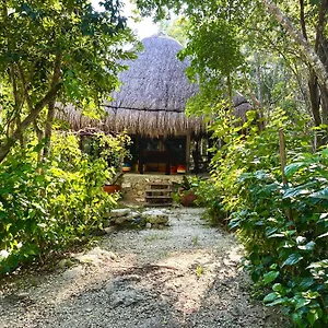 Camping Glamping Bunga Lotus